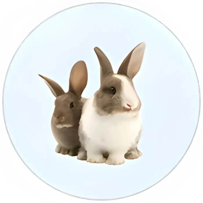 PDK-Small-pets